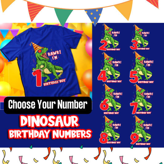 Dinosaur Birthday Boy Shirts, Ages 1-9 Birthday Shirt, T-rex Birthday Shirt, 4th Birthday boy Shirt, 2nd Birthday Boy Shirt, First Birthday
